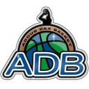 CTC Grand Dax Basket